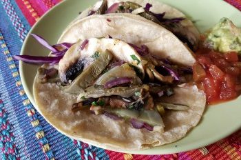 Cactus Tacos Recipes