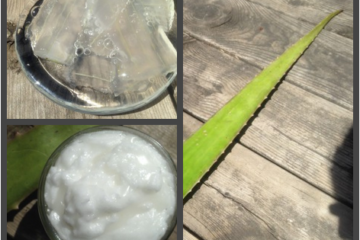 Coconut Aloe Body Cream