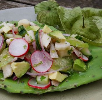 Plant Based Ceviche