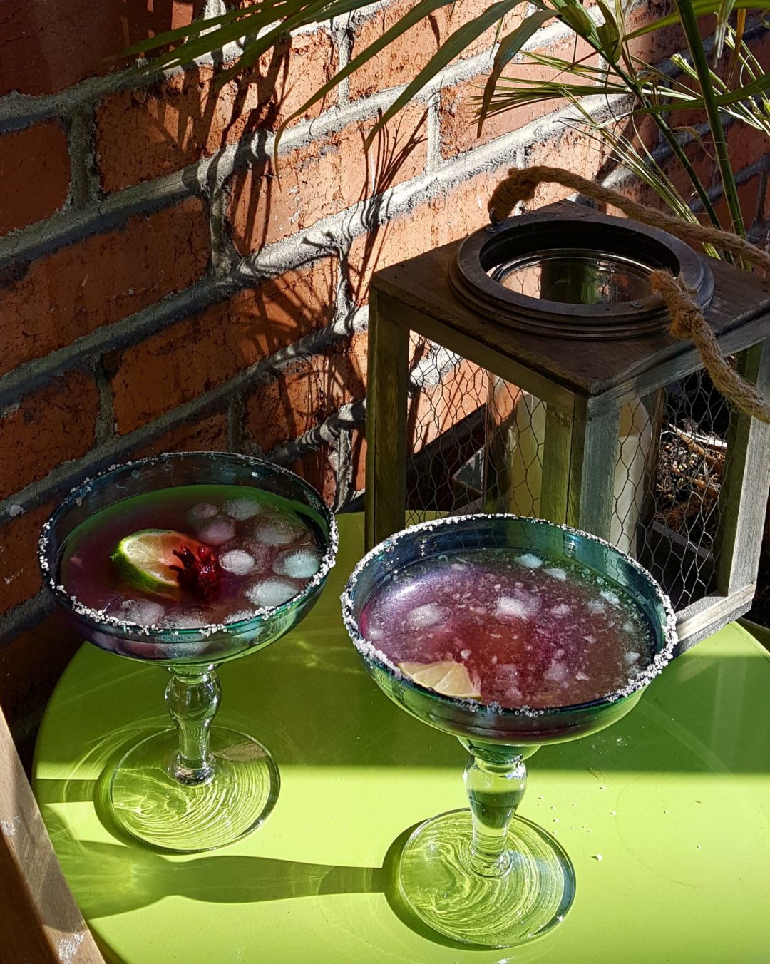 Hibiscus Margaritas