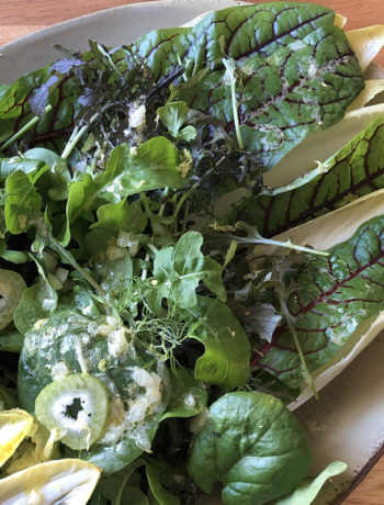 Bitter Green Salad Recipe